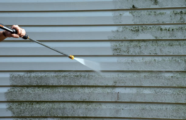 Best Roof Pressure Washing  in Hondo, TX