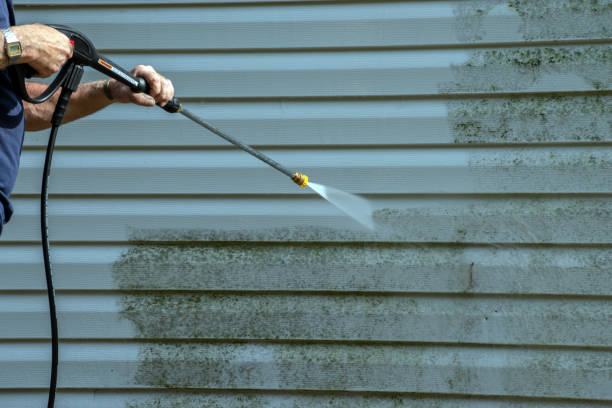Best Pressure Washing Driveway  in Hondo, TX